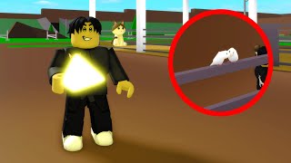 Roblox Brookhaven 🏡RP HOW TO GET ENERGY PYRAMID CRYSTAL (New)