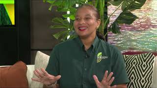 Open Your Eyes - Funding Sustainable Eco-Tourism with Grant Support.