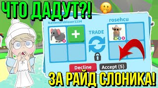 ЧТО ДАЮТ ЗА РАЙД СЛОНИКА В АДОПТ МИ?! ТРЕЙДЫ ADOPT ME Kroshka_Nastia