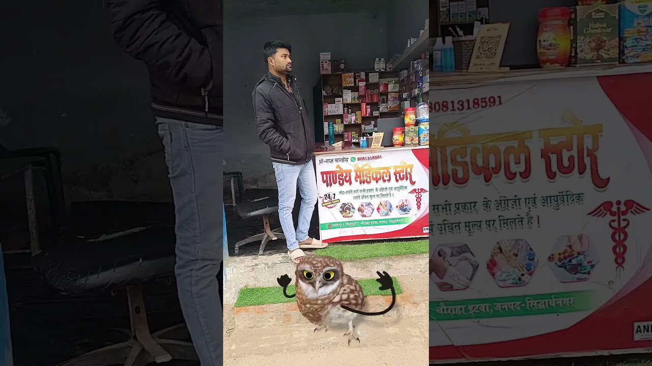 Fun VFX & Dance Adventures for Kids! 🦉🎉 || This video only for child baby 🐥🍼 