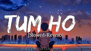 Tum Ho [Slowed+Reverb] Mohit Chauhan - Rockstar - Lyrics - RaMe Music