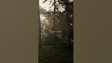 عبدالرحمن مسعد ـ (سورة يونس) أكتب شيء تؤجر عليه