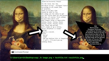 Steganography (hiding text in images)