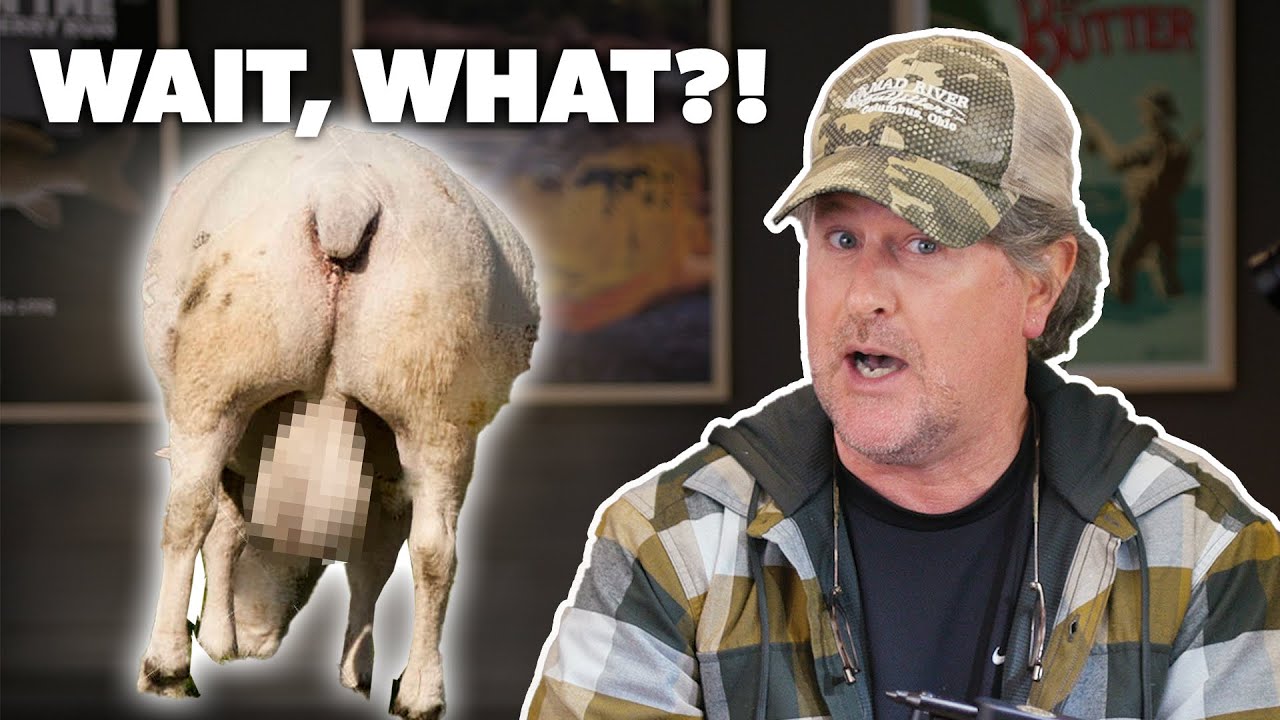 Fly Tying Tup's Indispensable This fly uses WHAT Material?! YouTube