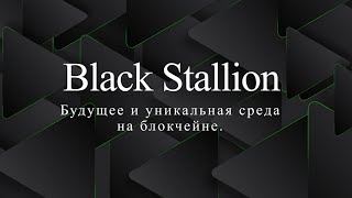 Black Stallion - будущее и уникальная среда на блокчейне.