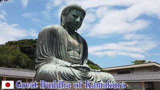 Great Buddha of Kamakura 鎌倉の大仏 | Kamakura, Japan AUG 2020
