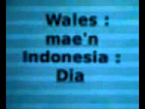 Dysgu Cymru - Indonesian: rhagenwau personol - gyda llais