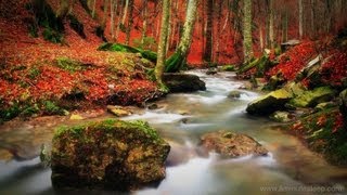 Buy babbling brook mp3: https://goo.gl/bz5mee deep in a mountain
forest runs brook. its pure water cascades over rocks and flows
underneath mossy ...