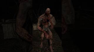 S.T.A.L.K.E.R. Anomaly: Old World Addon  #stalkeranomaly  #oldworld #mods #stalkergameplay #gaming