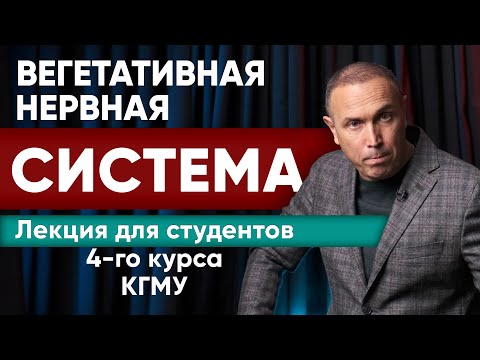 ЛЕКЦИЯ — Вегетативная Нервная Система - функция и дисфункция