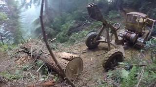 Antique Arch Logging