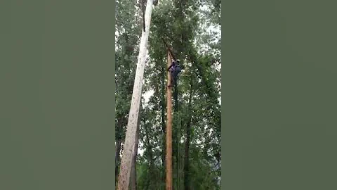 Local 42 rodeo team speed climb