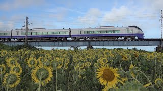 E657系 特急ひたち26号 K1編成リバイバルカラー 常磐線 岩沼~逢隈 (2023/08/11)