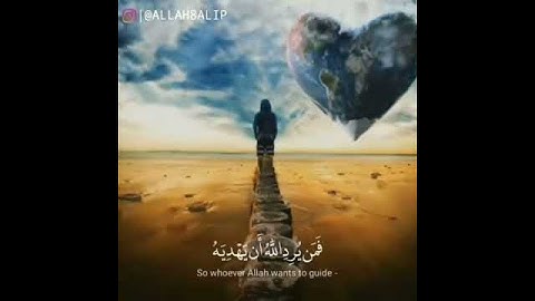 اجمل حالات واتساب // قران بصوت وديع اليمني // قران كريم // مقاطع دينية//