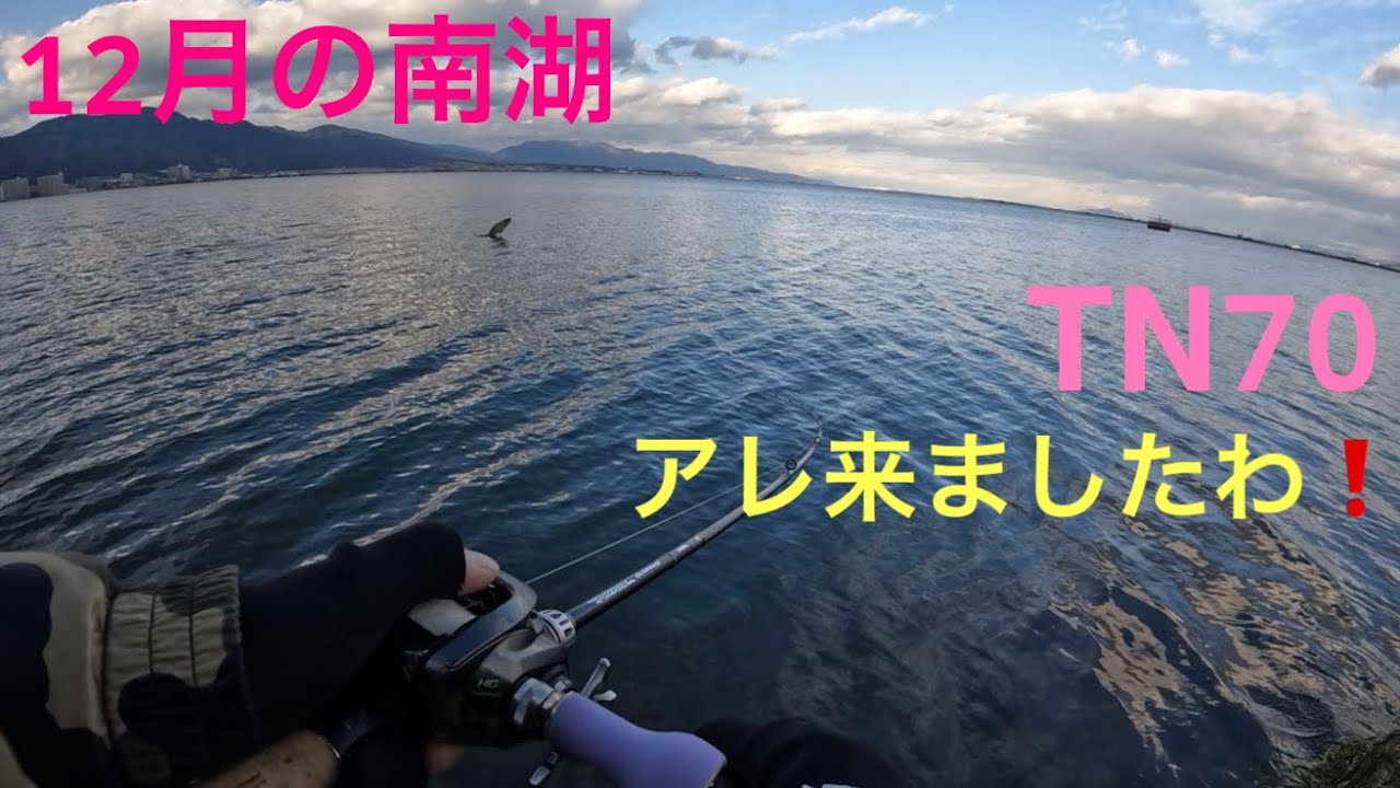 バス釣り】カバースキャットの集魚力❗️ 琵琶湖 南湖 - YouTube