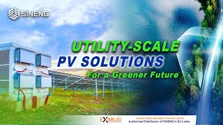 Eximius Power And Energy - Pioneering A Sustainable Future The Authorized Distributor Of Sineng