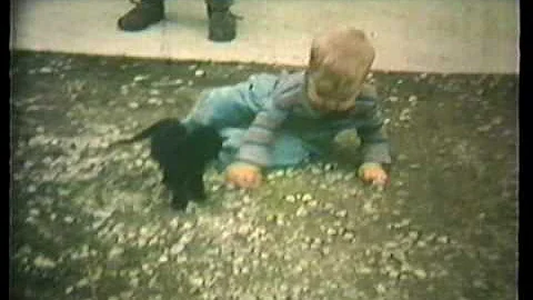 Tim Ervin Family Videos 1