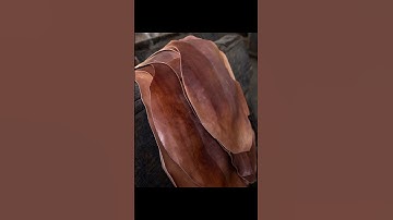 What is Shell Cordovan?