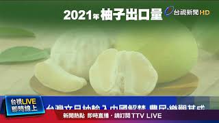 台灣文旦柚輸入中國解禁 農民：樂觀其成