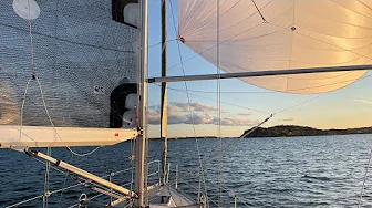 Augustikväll på fjorden