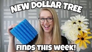 DOLLAR TREE HAUL & SHOP • great new items in stores!