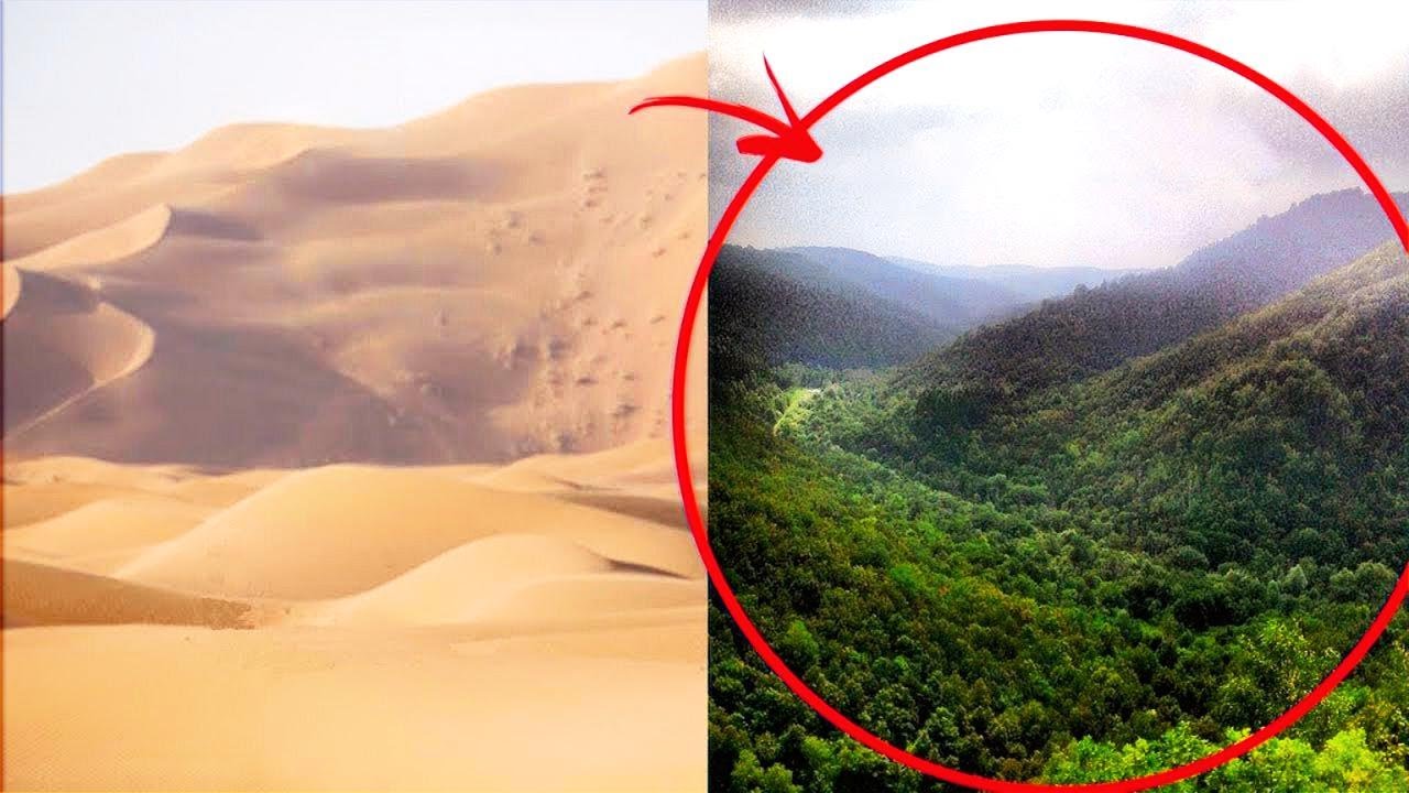 كيف حولت الصين الصحراء إلى غابات خضراء؟ أكبر غابات من صنع الإنسان !!