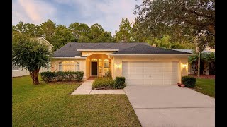 13038 Royal George Avenue, Odessa, FL. 33556