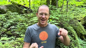 Avoid CEO Burnout! 5 Leadership Hacks for a Sustainable Business | Patrick Sherwin | GoSun