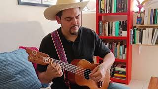 Canario (tradicional huasteco) - Eloy Zúñiga, el zurdo - Jarana huasteca