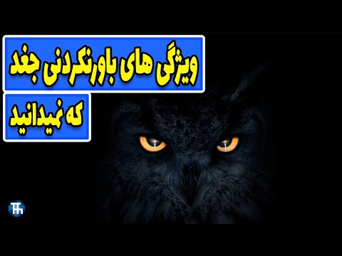 تصویری: آیا جغدهای گوش کوتاه در شب شکار می کنند؟