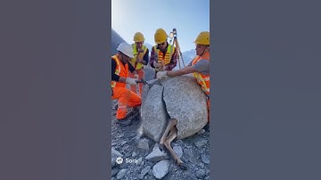 Rescuing a Deer Trapped in a Rock #animalrescue, #wildlife, #trending