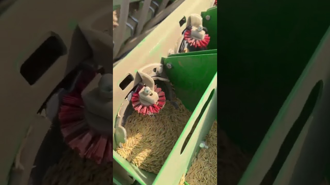 अब Virdi  DSR मशीन से धान की सीधी बिजाई।