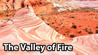 What to See Near LAS VEGAS - The Amazing Valley of Fire