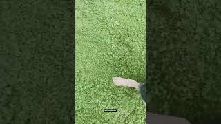 Tamanna Bhatia Action Movie Hot Actress Enjoying Rain