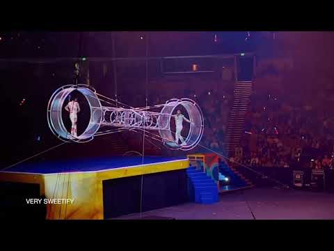 Circus Show 2024.