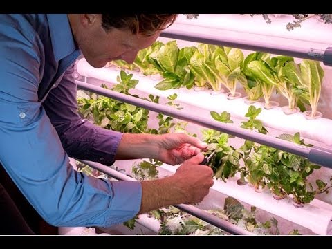 How to Plant the OPCOM Farm GrowWall