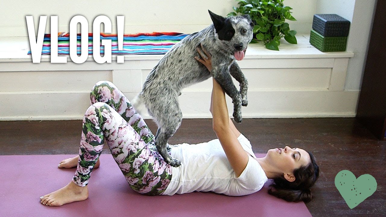 Yoga Q&A + Personal Stuff + Puppy! - YouTube