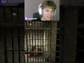 Не стоило включать скримеры за донаты... #твич #89squad #freaksquad #twitch #братишкин #кореш #funny