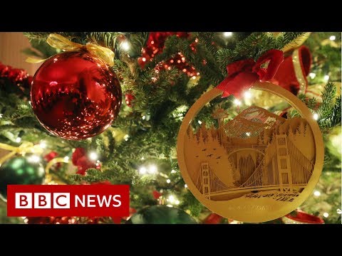 White House Christmas decorations unveiled – BBC News