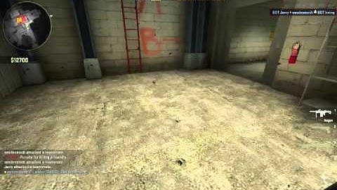 How to Play: Counter Strike Global Offensive