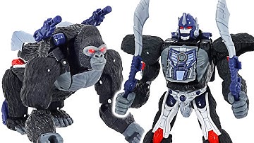 Transformers Kingdom Voyager Optimus Primal! Transformed into a gorilla! | DuDuPopTOY