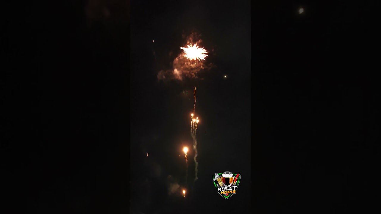 Tiger 16s business class B