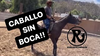 Cómo Ponerle Boca A Un Caballo (clase completa)