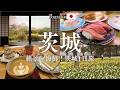 【保存版】茨城1日観光モデルコース|ネモフィラ・海鮮・絶景を満喫する大人旅