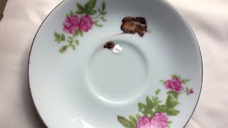 Don't Mix White to Lighten Your Brown Paint