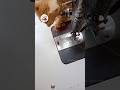 Sewing tips and tricks ideas 💡 #stitche #sewing #fashion #shortvideo #viralvideo