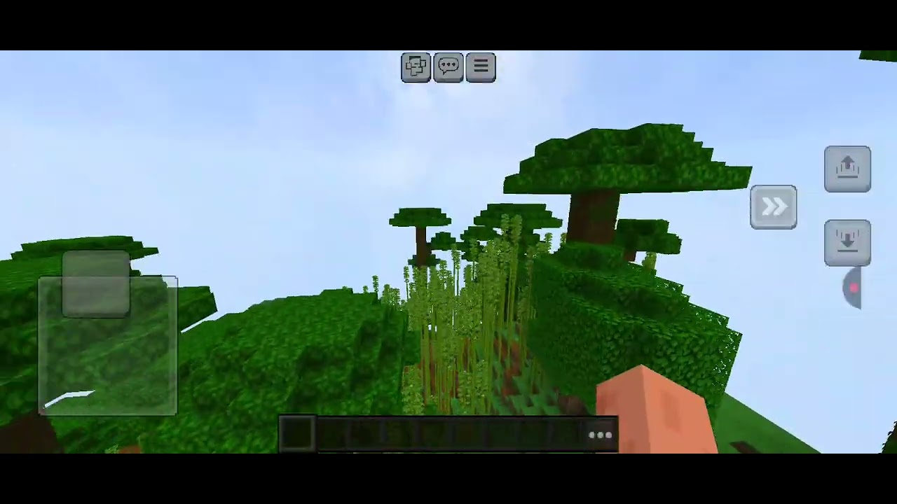 Minecraft Bamboo Jungle