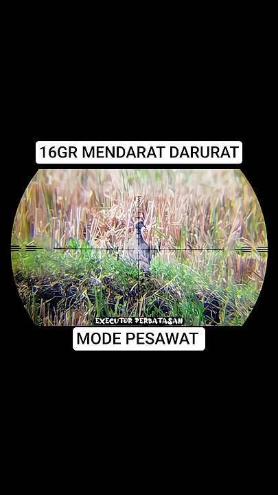 16GR MENDARAT DARURAT #berburutekukur  #longrange #shorts #beranda #tekukur