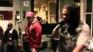 Animal team" Slow Motion"