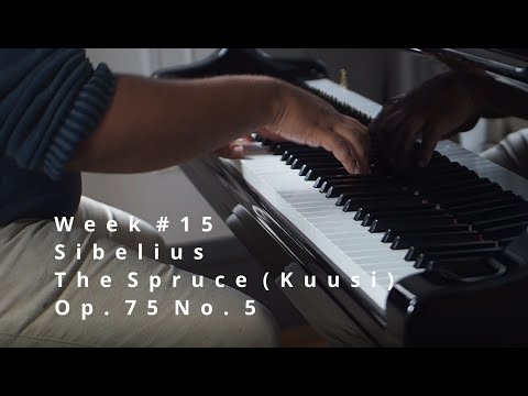 Sibelius: The Spruce (Kuusi/Le Sapin), Op 75. No. 5. Week #15 progress (adult beginner)